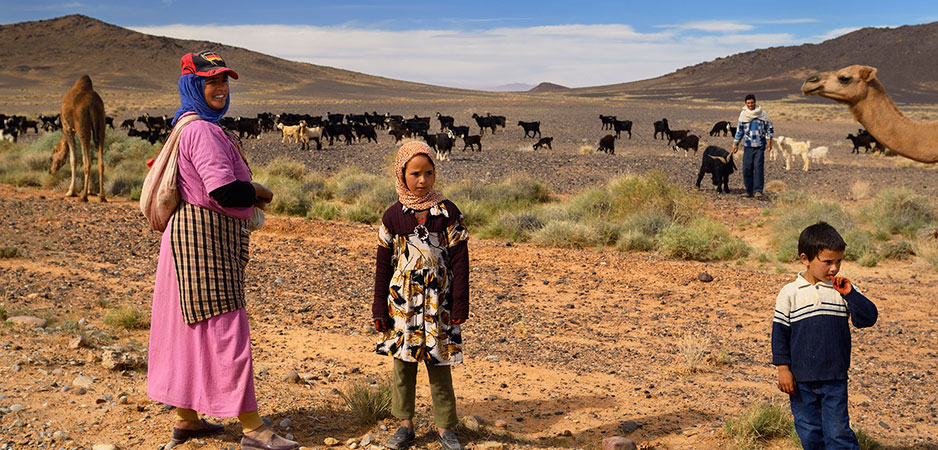 Pastoral Nomads in North Africa Consider In-Place Farming